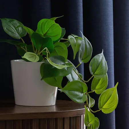 Modern With Air Conditioning In The Centre Of Cracow By Renters